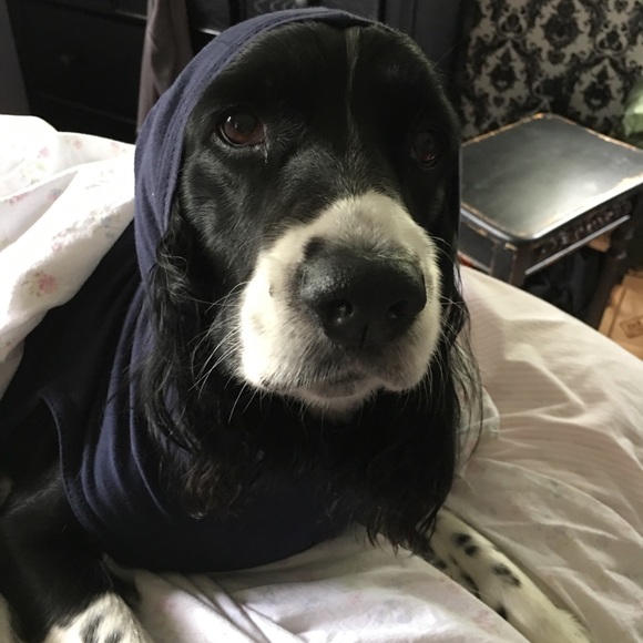 Meet your Posher, Jessica - Picture 2 of 16